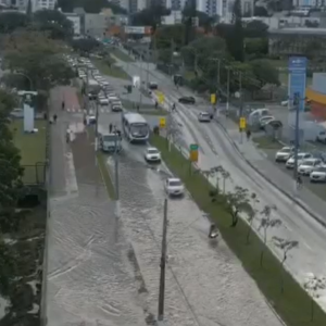 Foto: divulgação/Guarda Municipal de Florianópolis