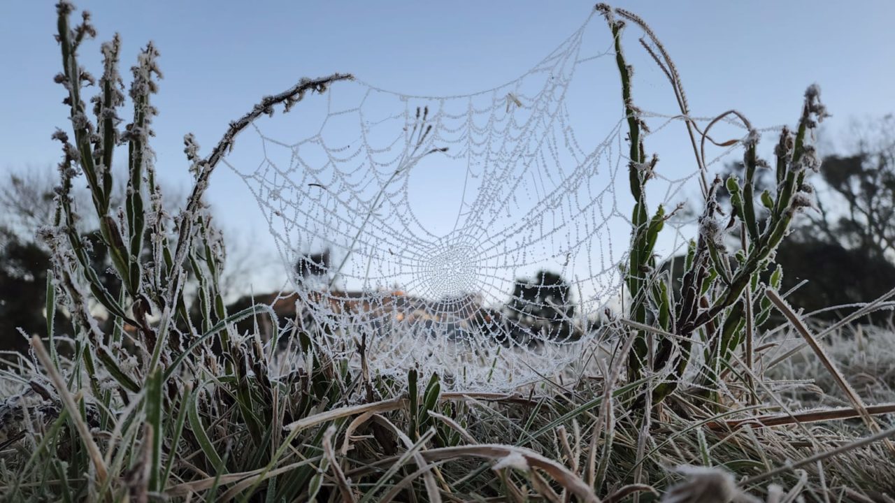 Galeria de imagens do amanhecer em São Joaquim (1)