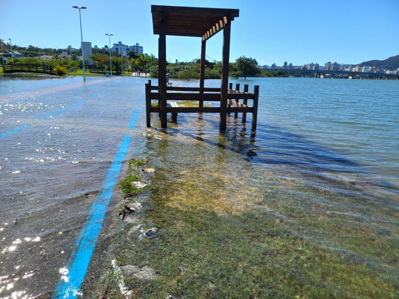 Maré alta interdita rodovia em Florianópolis