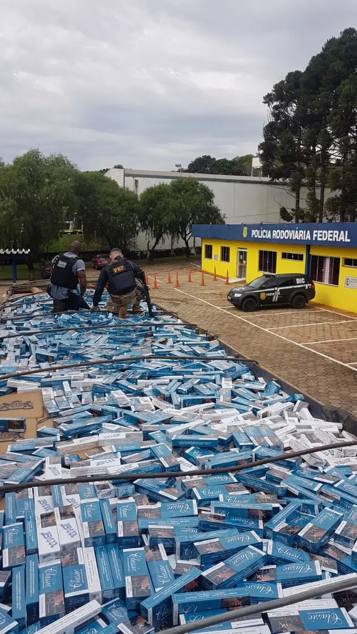 Foto: Policia Civil / Divulgação