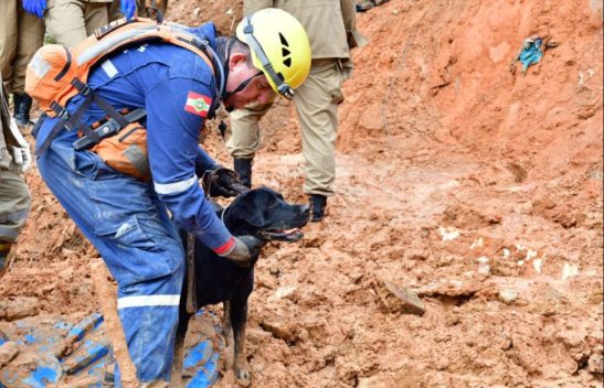 Bombeiros de SC localizam duas vítimas em Pernambuco