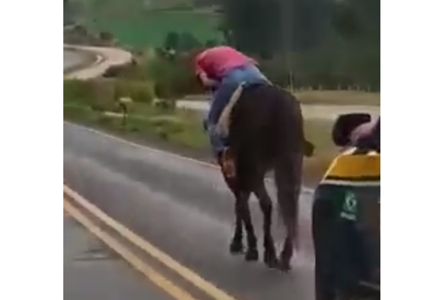 ‘Cavaleiro bêbado’. Foto: Reprodução/Twitter 