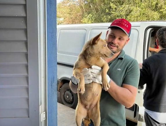 Animais abandonados são resgatados no interior de Xanxerê. Foto: Reprodução/SCC Meio-Dia 