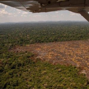 Foto: divulgação/Greenpeace 