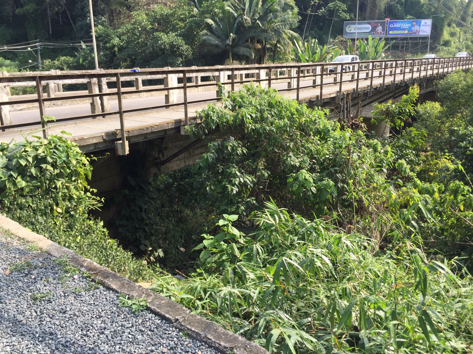 Corpo é encontrado embaixo de ponte em Blumenau. Foto: Divulgação