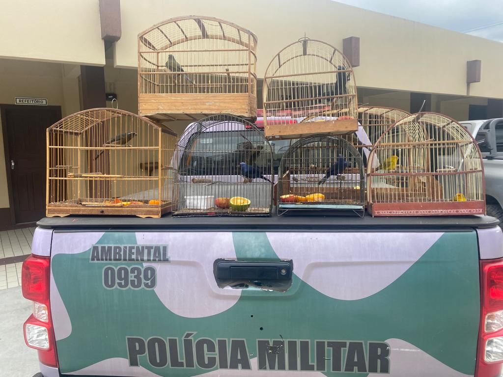 Foto: Policia Militar Ambiental 