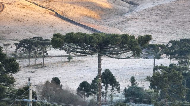 GALERIA: Amanhecer congelante na Serra; mínimas chegam a -7.0ºC