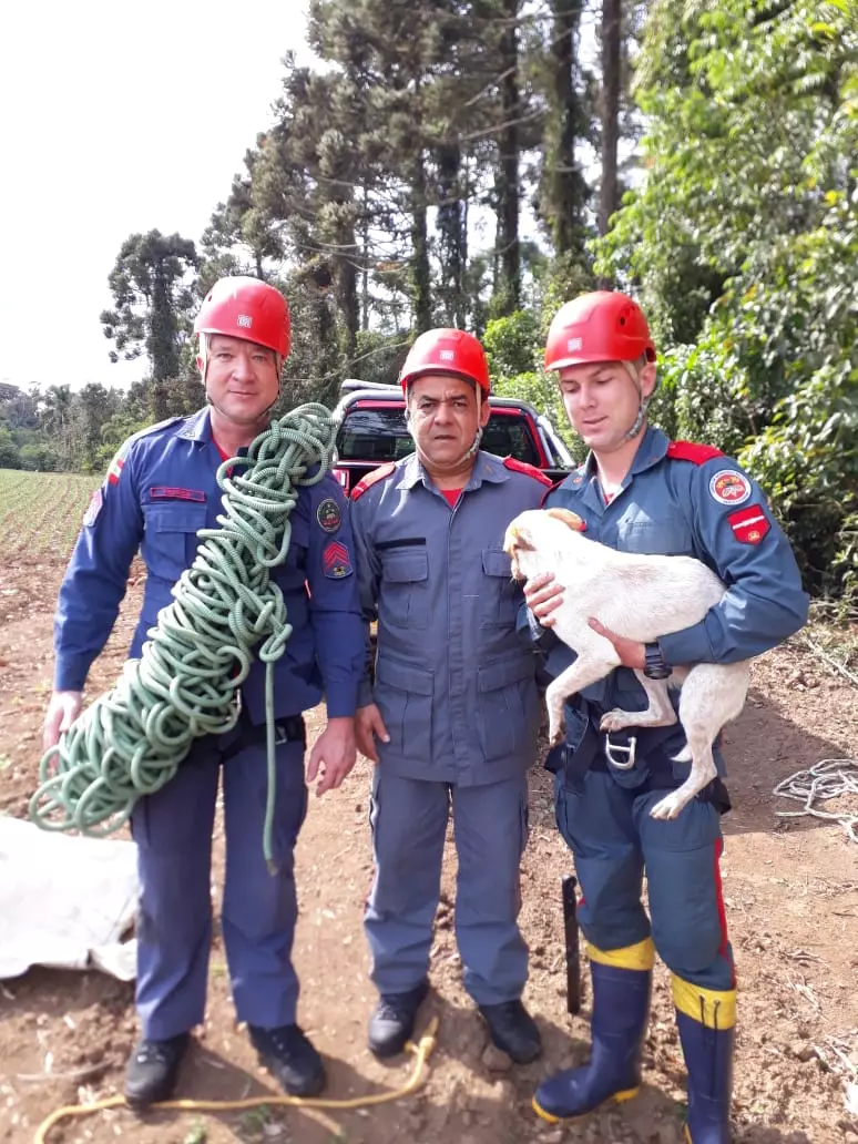 Foto: Corpo de Bombeiros Militar/Divulgação 