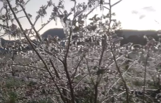 Frio intenso e ação emergencial chegam à Capital nos próximos dias