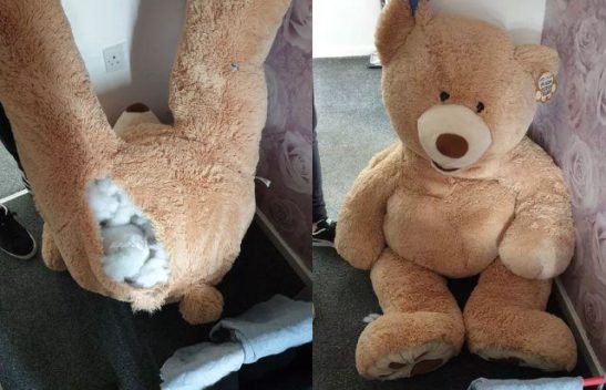 ladrão é encontrado dentro de urso de pelúcia