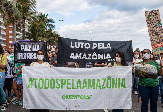 Entre 2012 a 2020 foram contabilizados 1.733 mortes de voluntários no mundo | Greenpeace

