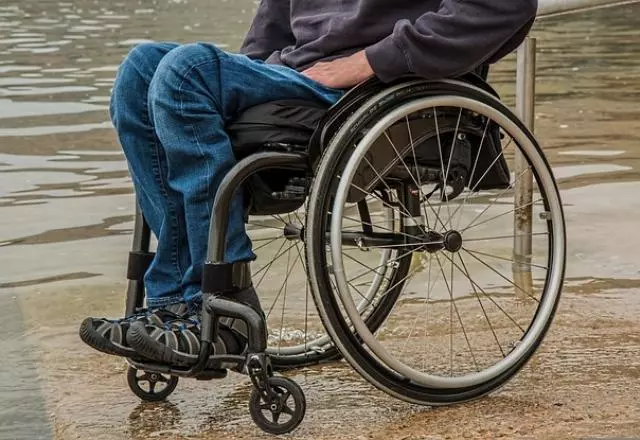 “A menor remuneração das pessoas com deficiência aparece em todos os grupos de atividades”, diz o analista da pesquisa | Pixabay