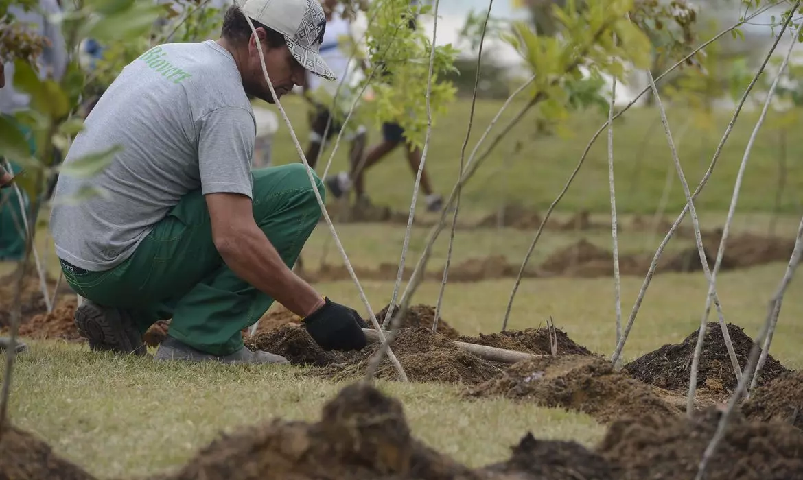 Foto: Tânia Rêgo/Agência Brasil, divulgação