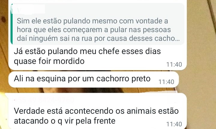 Comunidade do Cerrito reclama dos ataques dos cães