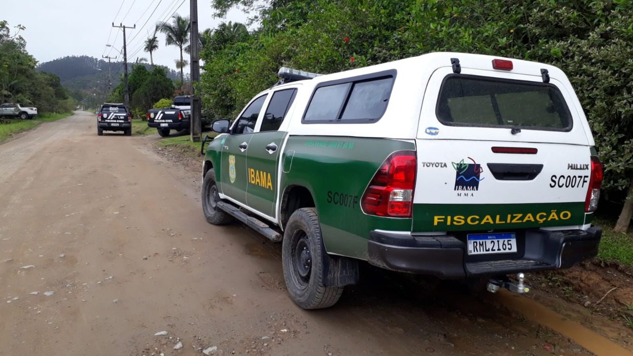 Foto: Polícia Civil | Divulgação