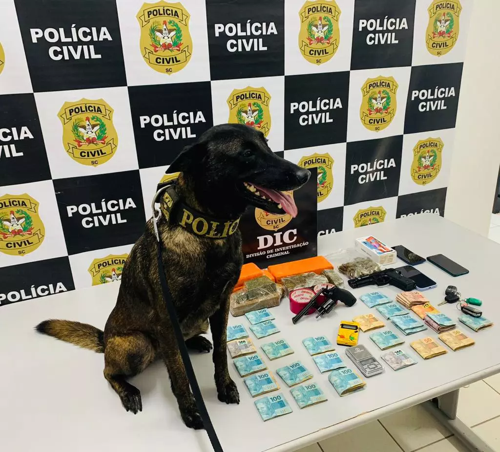 Foto: Polícia Civil/Divulgação 