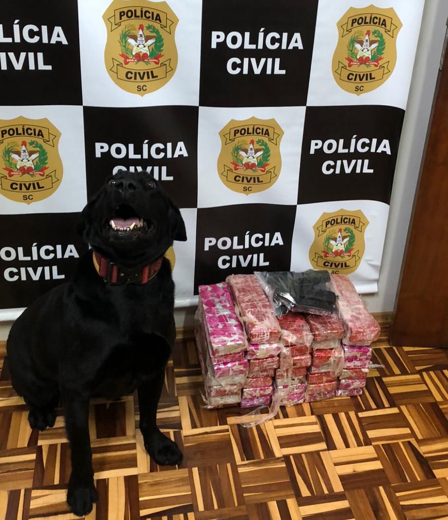 Foto: Polícia Civil de Santa Catarina / Reprodução 
