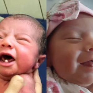 Reprodução | TikTok | adriapaes