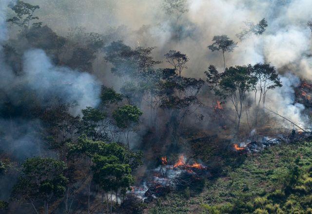 Em 2022, quantidade de focos de incêndio no bioma atingiu 75.592 | Greenpeace

