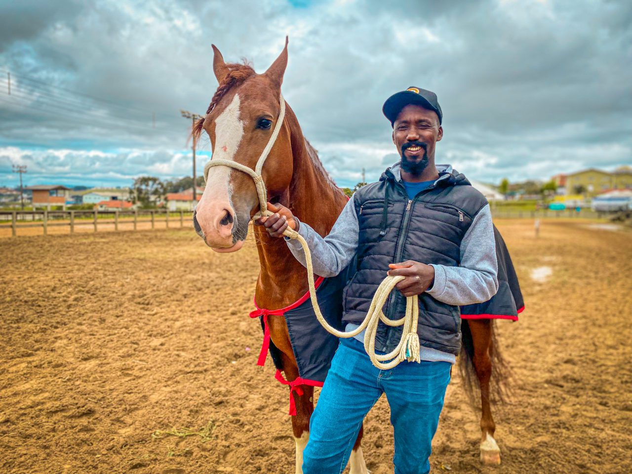 300 cavalos de corrida acabam no matadouro em 22 dias - Vegazeta