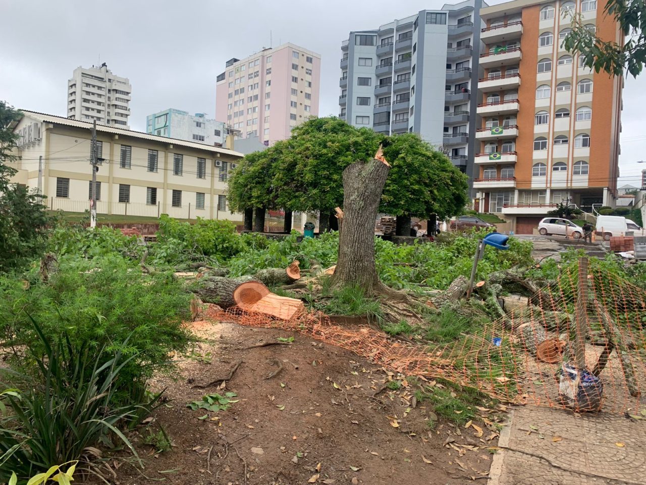 Árvores são retiradas do Parque Jonas Ramos em Lages