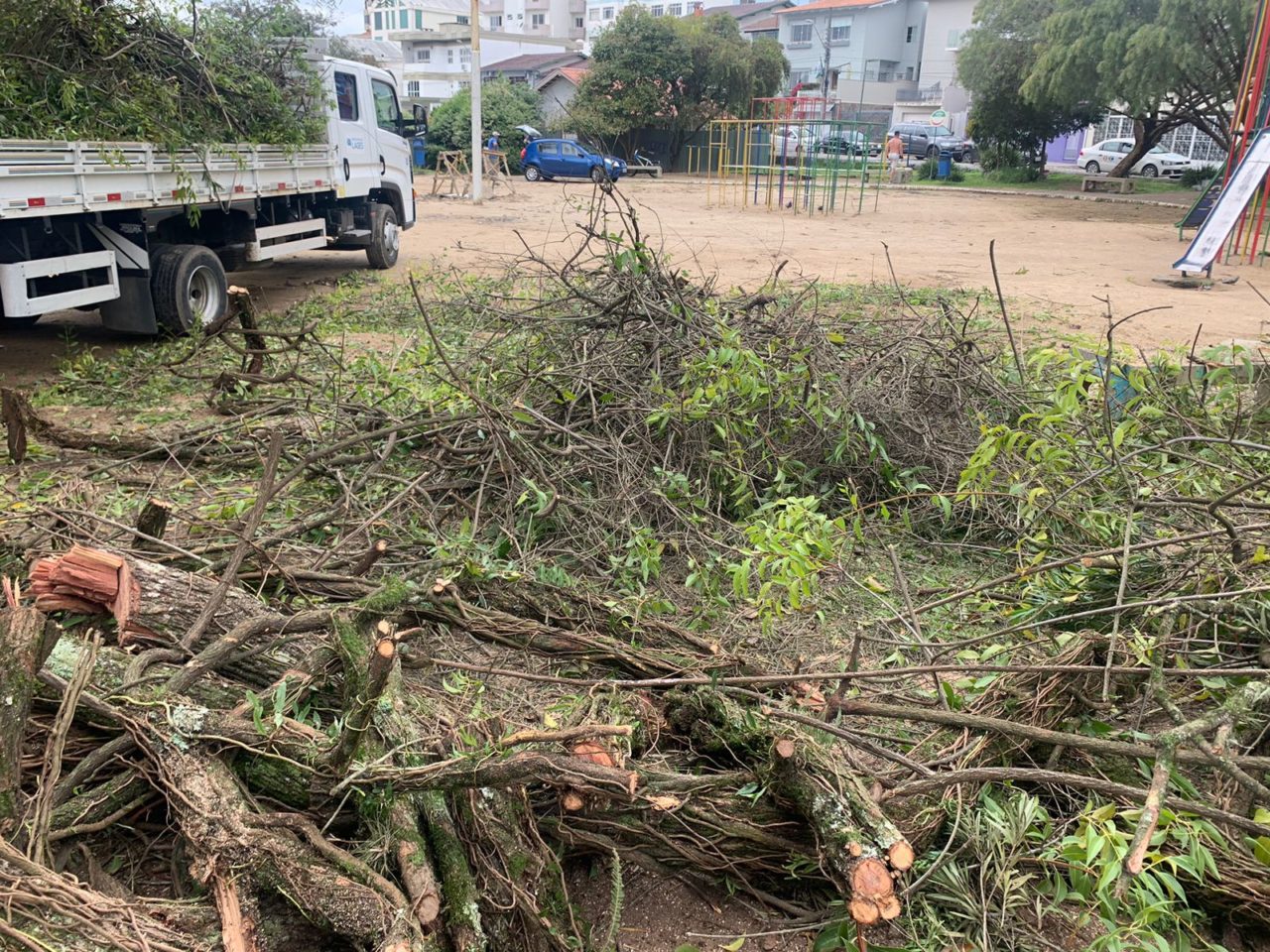 Árvores são retiradas do Parque Jonas Ramos em Lages