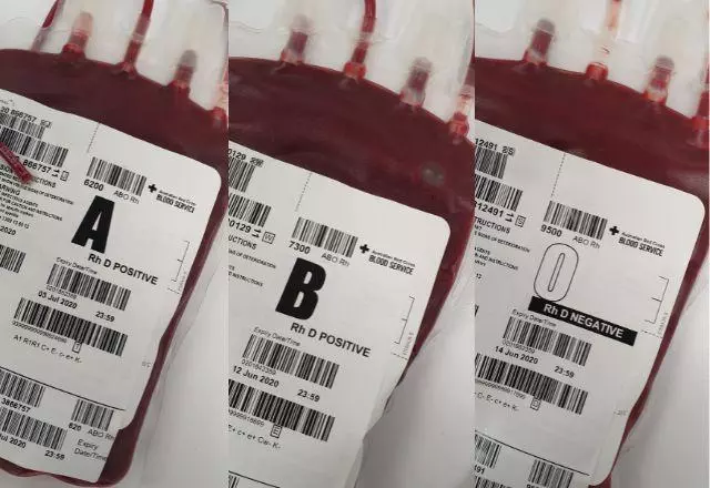 STF avalia se testemunhas de Jeová podem recusar transfusão de sangue. – Foto: Charlie Helen/Pexels