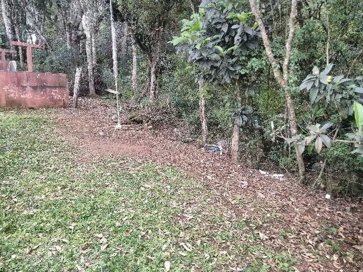 Foto: Polícia Militar de Santa Catarina / Divulgação