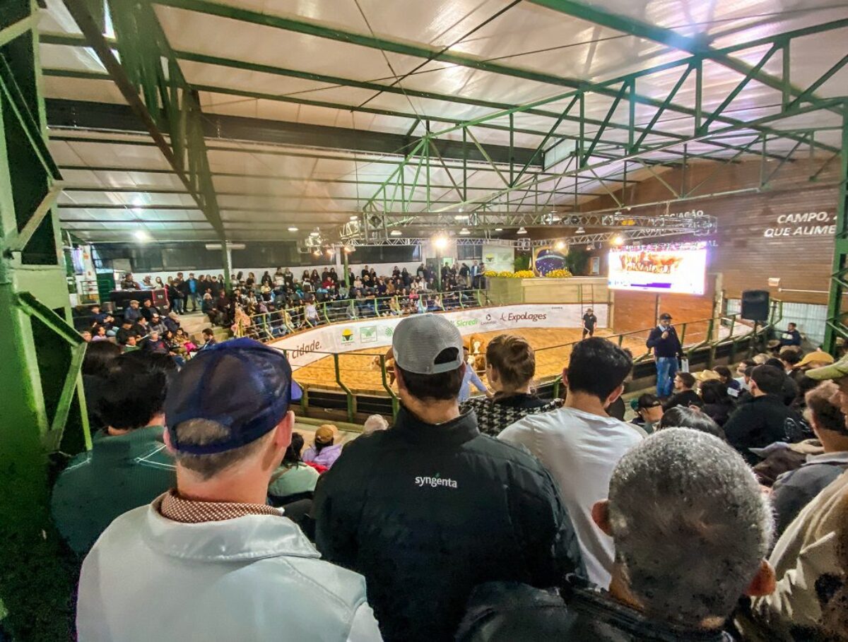 Feira de Gado Geral – Associação e Sindicato Rural de Lages 