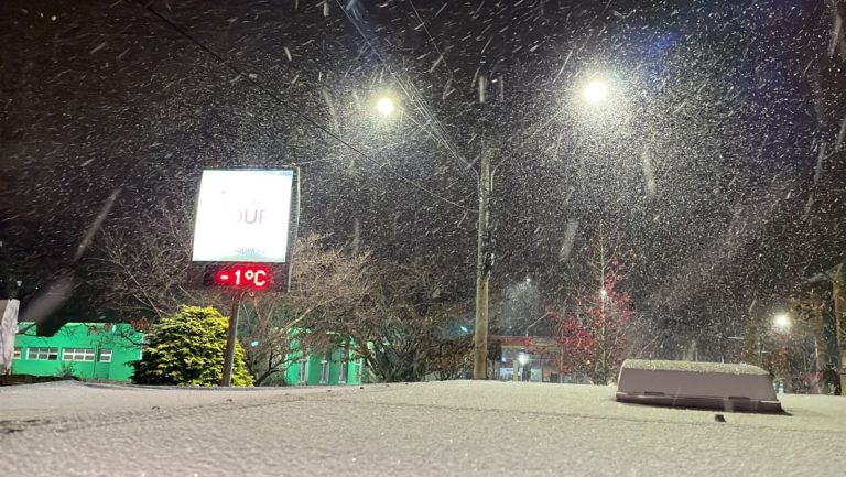 Frio intenso chega a Santa Catarina com chance de neve e mínimas de até -5°C na Serra