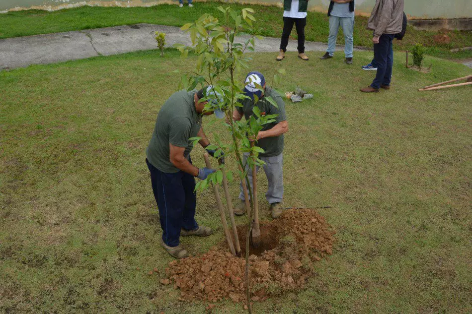 Foto: Prefeitura de Blumenau, divulgação 