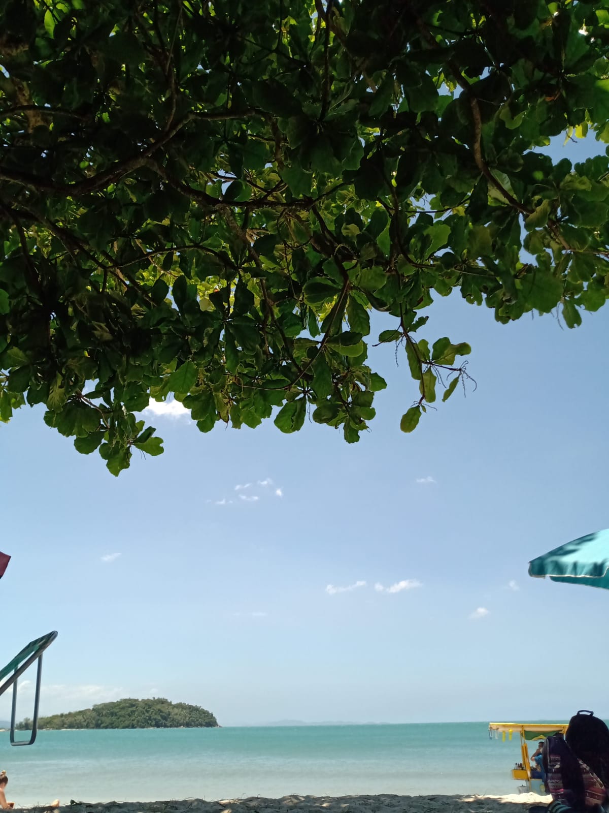 praia florianópolis canasjurê