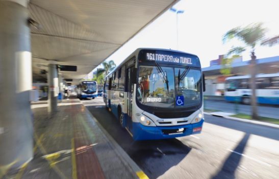 Confira o prazo para renovar o cartão do ônibus em Florianópolis