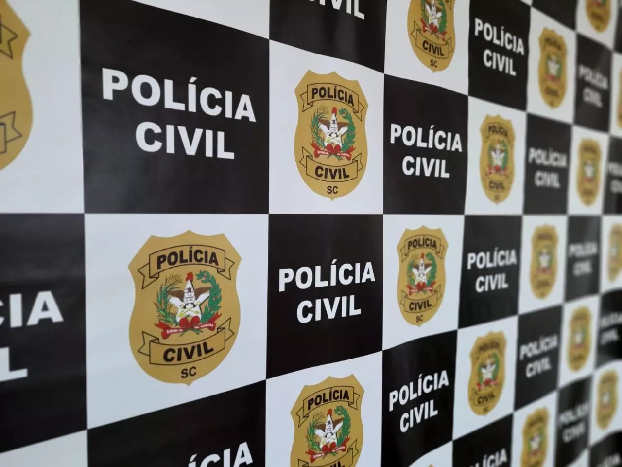 Foto: Polícia Civil de SC/Divulgação 