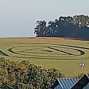 Foto: reprodução/cedido/Canal Ideal