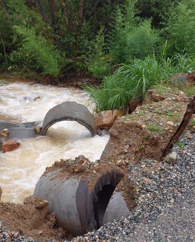 Foto: Prefeitura de Joinville/Reprodução 