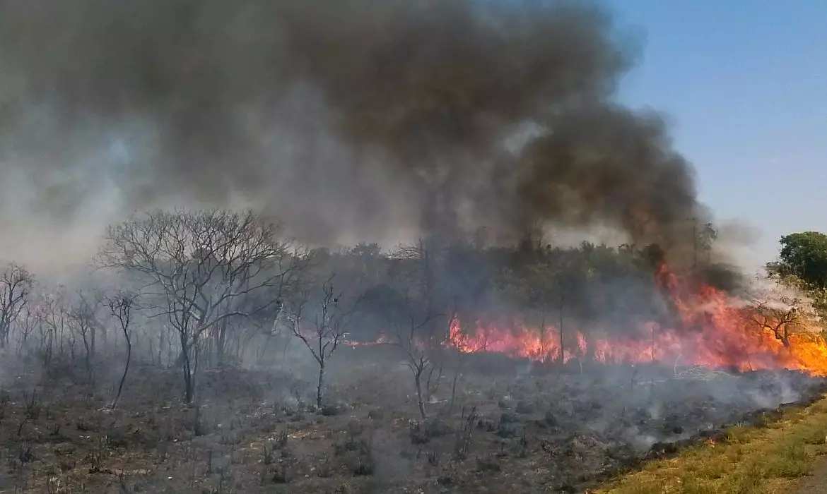 Foto: José Cruz | Agência Brasil