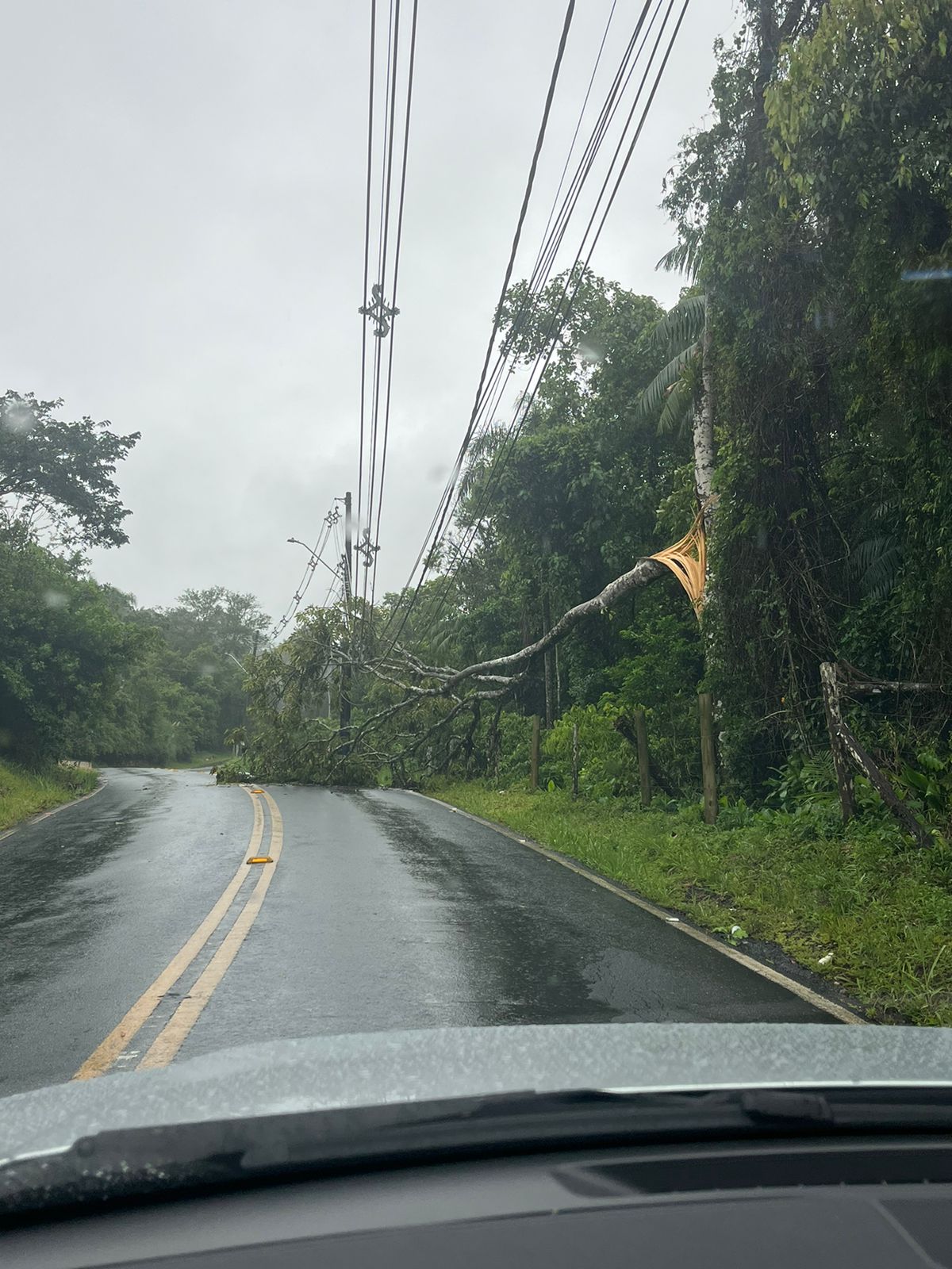 Foto: Prefeitura de Balneário Camboriú / Divulgação 