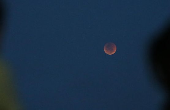 Crianças observam o eclipse total da lua, em que o astro ganha tons avermelhados, conhecido como Lua de Sangue, no Forte de Copacabana. Foto: Fernando Frazão/Agência Brasil