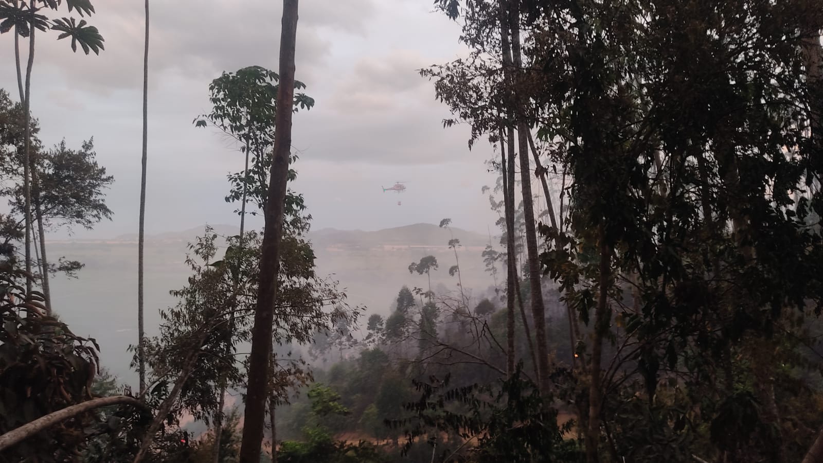 Foto: Corpo de Bombeiros de Itajaí/Divulgação 