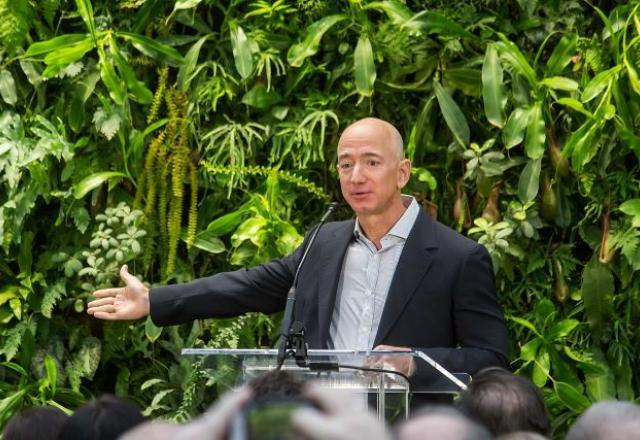 Bezos pretende contribuir com projetos relacionados ao meio ambiente l magem: commons.wikimedia

