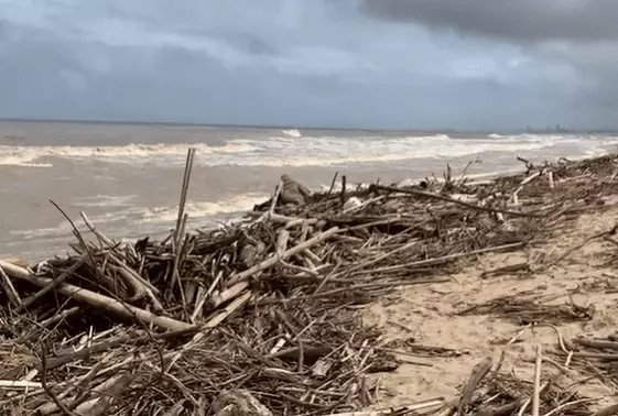 Foto: Prefeitura de Barra Velha | Reprodução