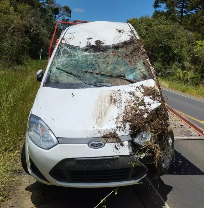 Foto: 10º Grupo de Polícia Militar Rodoviária – Painel/SC