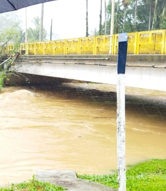 Foto: Prefeitura de Corupá/Reprodução 