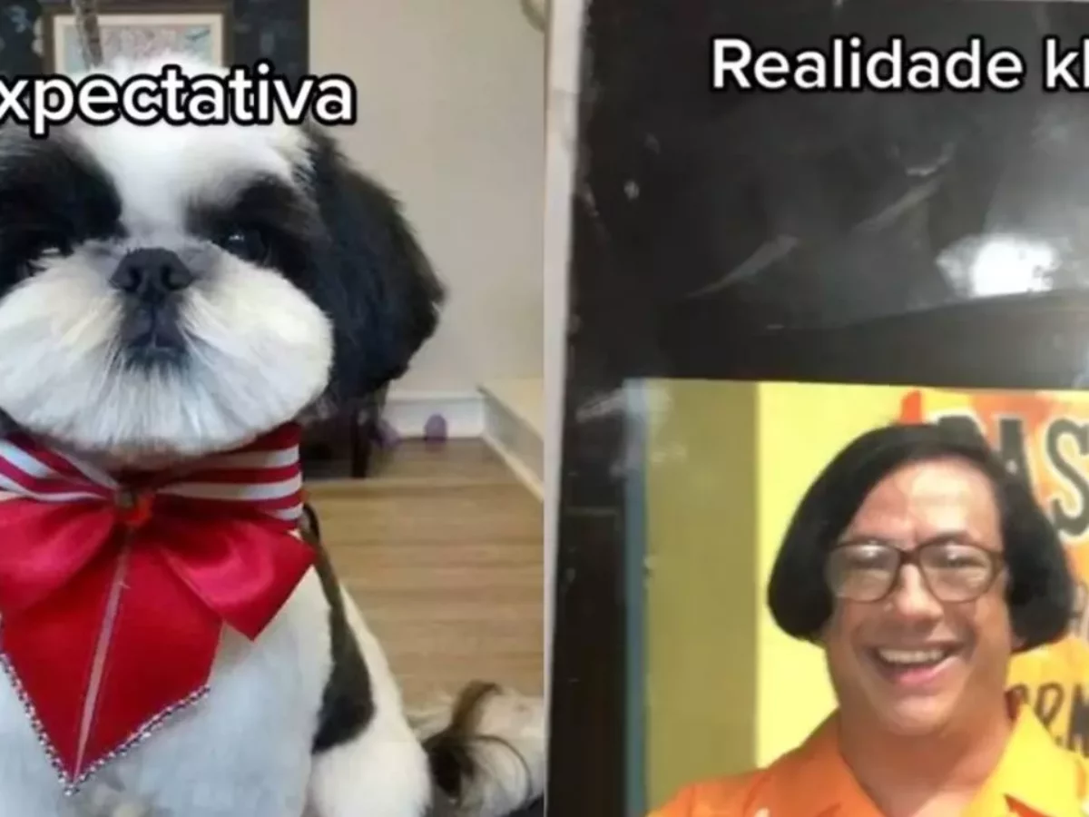 Cãozinho se transforma no Beiçola após ser tosado em pet shop mais barato;  assista