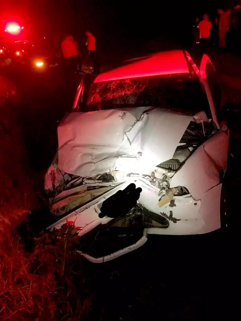 Ocorrência foi atendida na noite desta quinta-feira (8) | Foto: divulgação/Polícia Militar de Santa Catarina