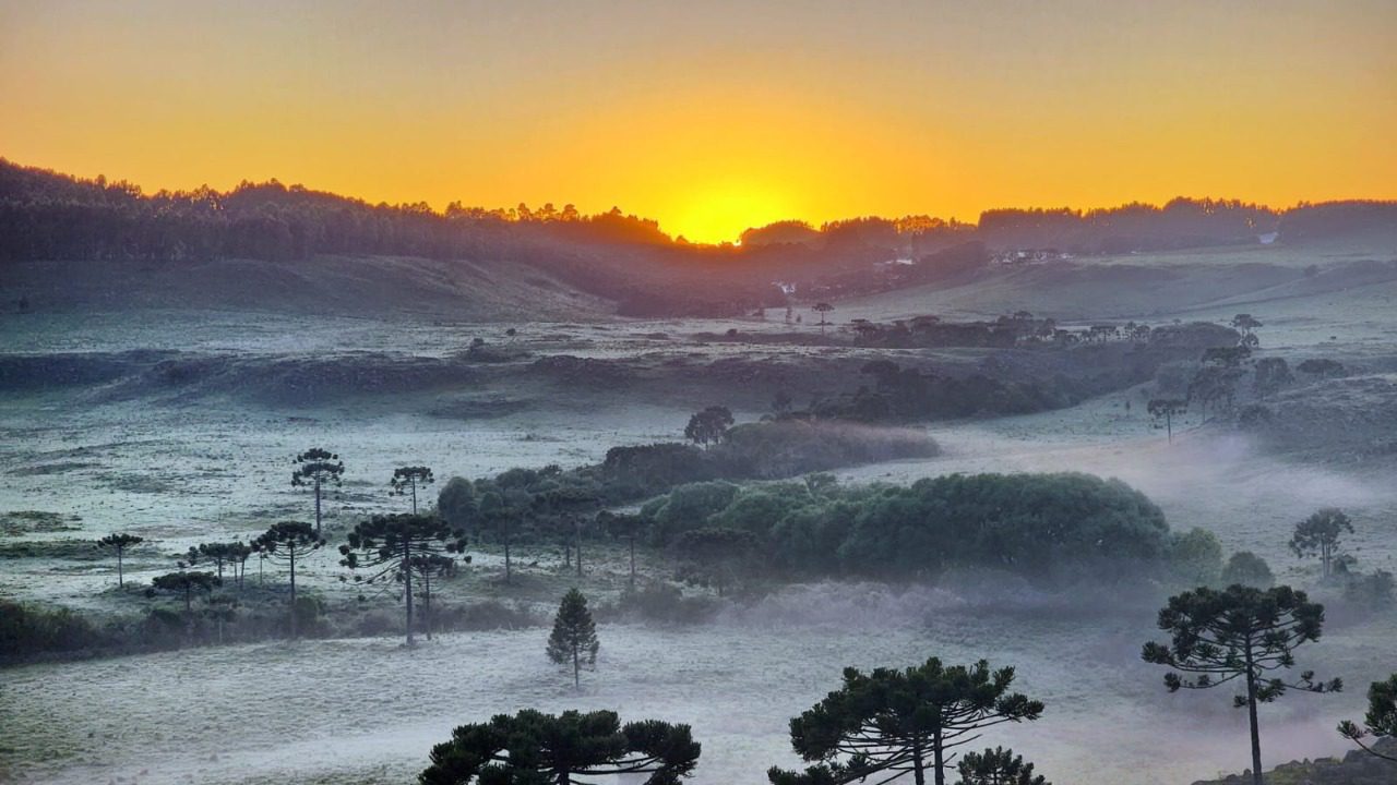 Geada volta a deixar os campos branquinhos na Serra de SC