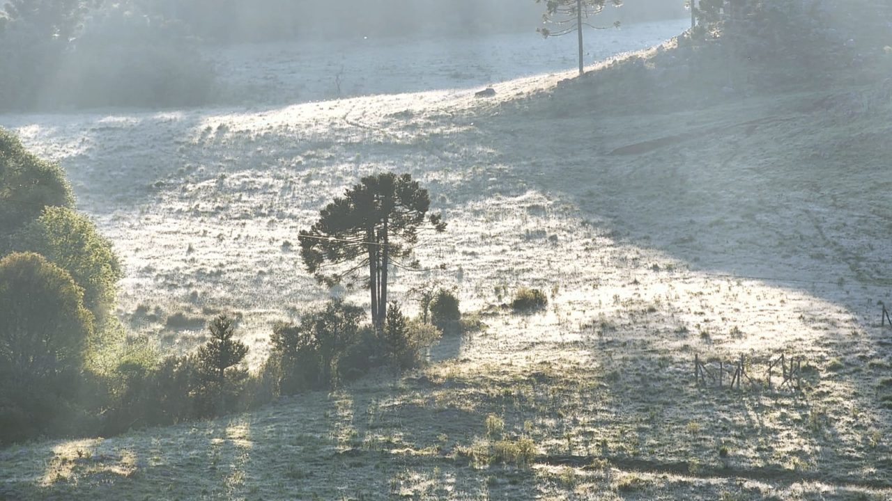 Primeira geada de dezembro é registrada no Vale do Caminhos da Neve