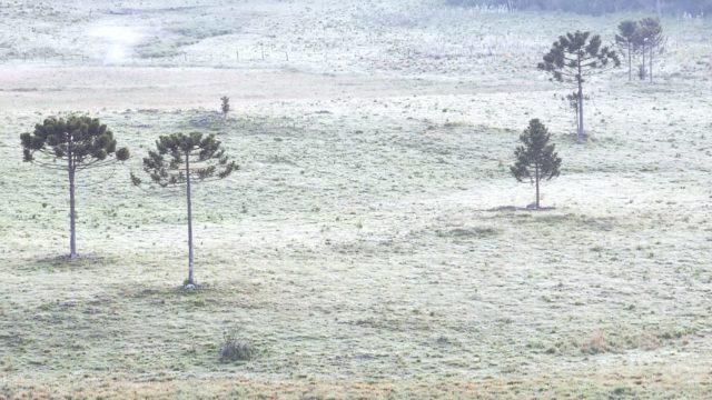 Primeira geada de dezembro é registrada no Vale do Caminhos da Neve