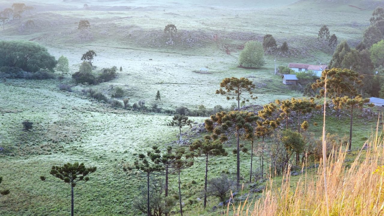 Primeira geada de dezembro é registrada no Vale do Caminhos da Neve